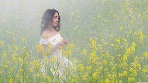 鬼吹灯之龙岭迷窟电影