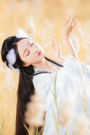 《金花瓶楷梅花2》完整版在线看