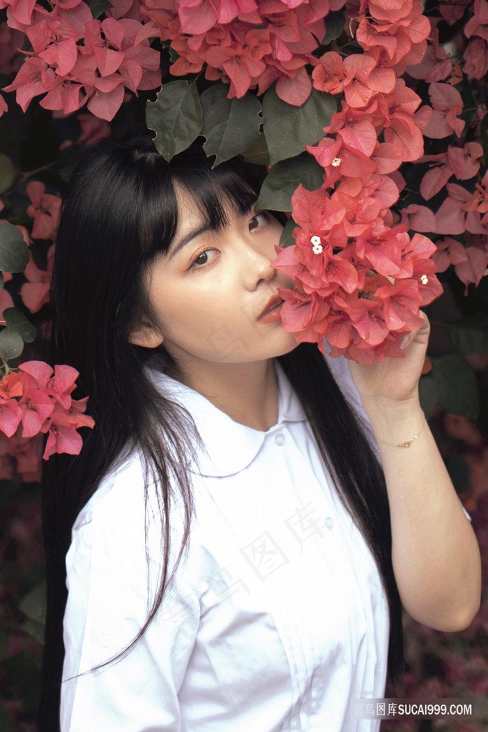 梦精爱2