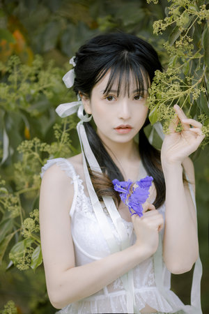 镜花风月